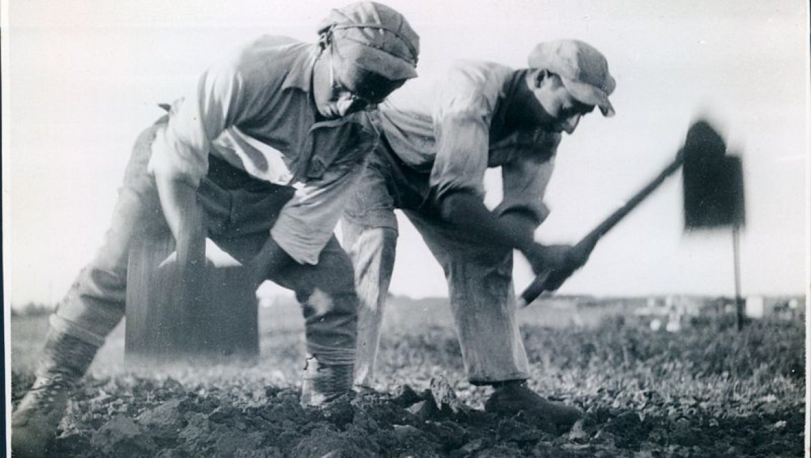 The Religious Kibbutz Movement’s Al HaNissim Prayer for Yom Ha’atzmaut